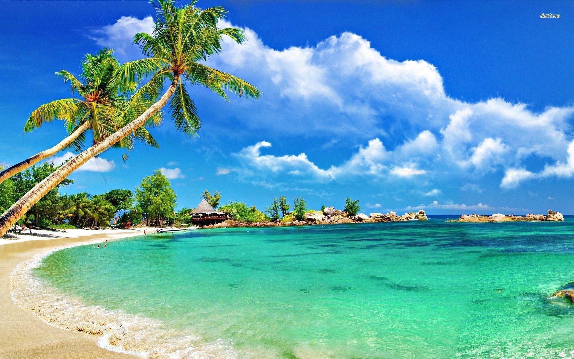 Everyday Life in St. Mary, Jamaica — What Living Near The Gates of Edgehill Really Looks Like