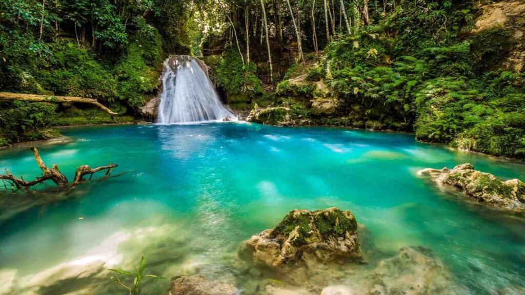 blue hole jamaica