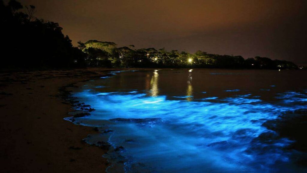 Glistening Waters Jamaica
