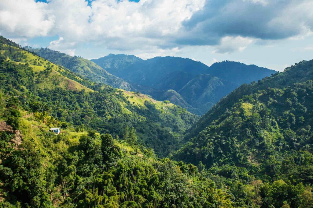 blue-mountains-jamaica